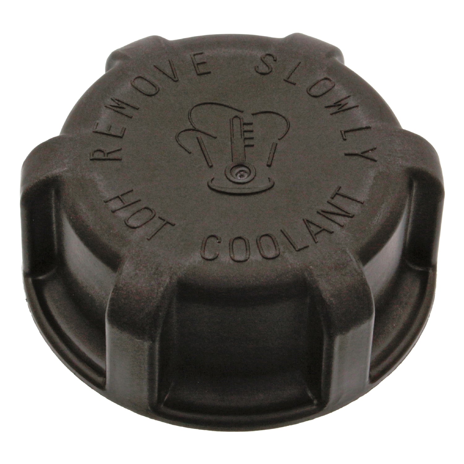 SCANIA G Series Expansion tank cap 1874363