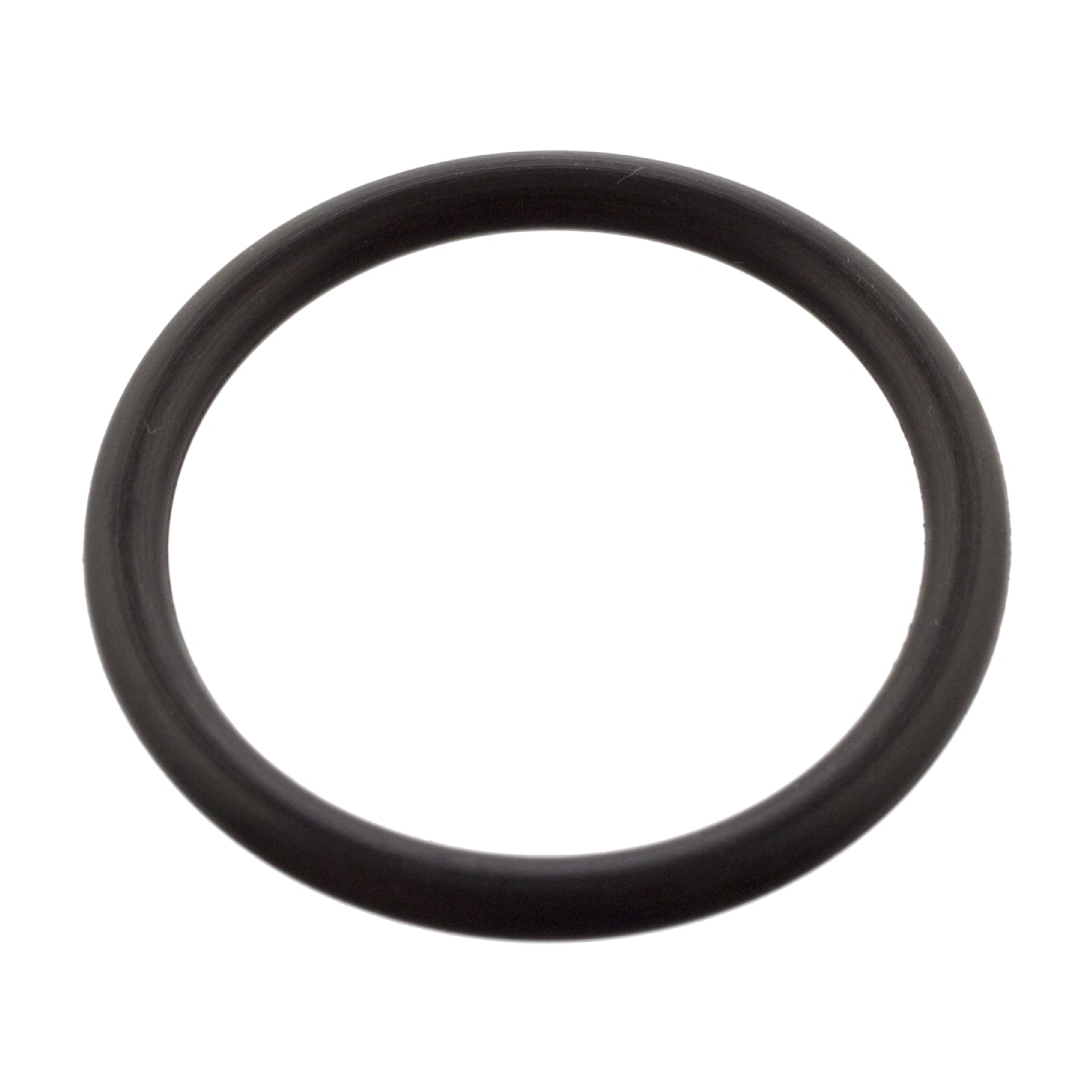 IVECO CARGO Oil Drain Plug Gasket 4895584