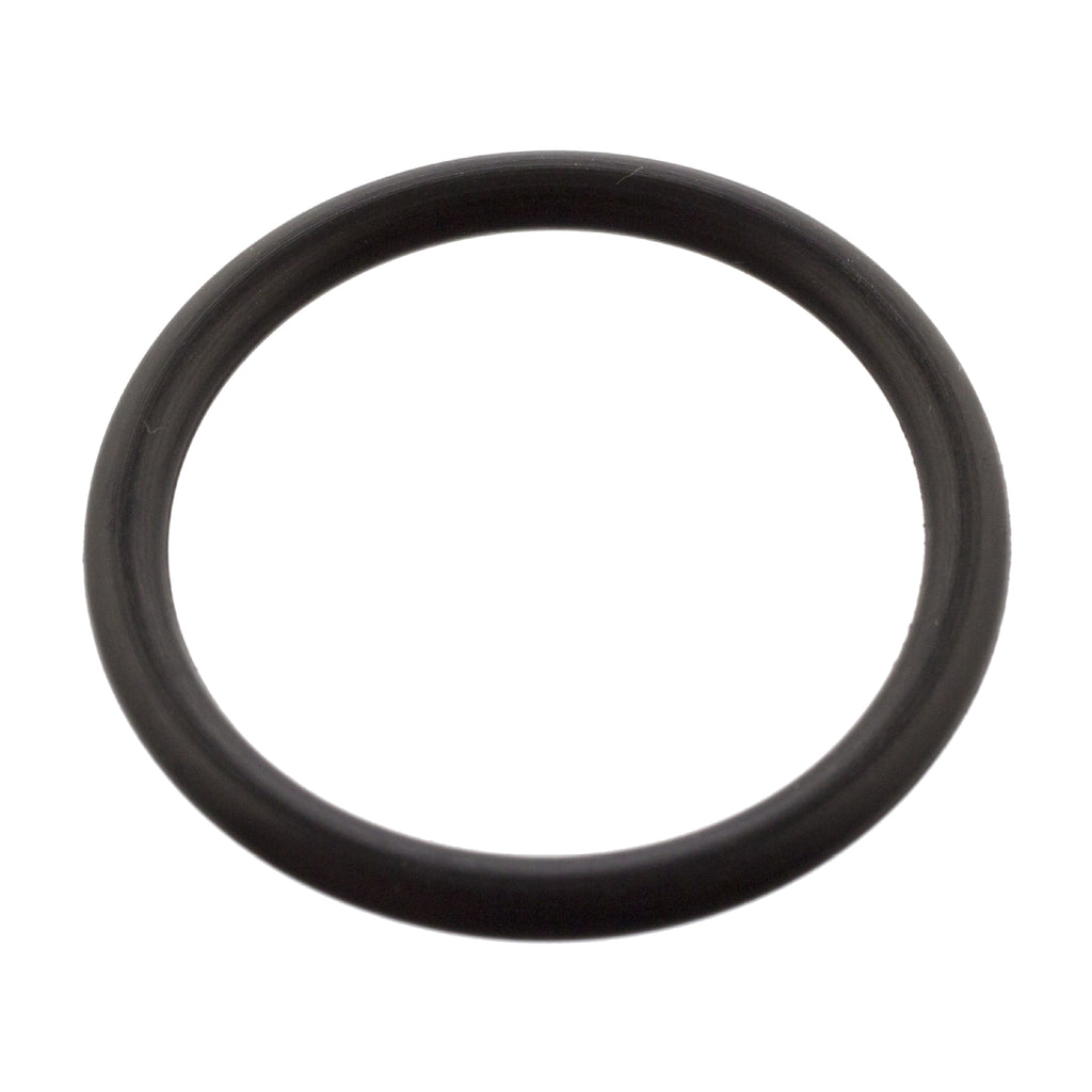 IVECO EUROCARGO Oil Drain Plug Gasket 4895584