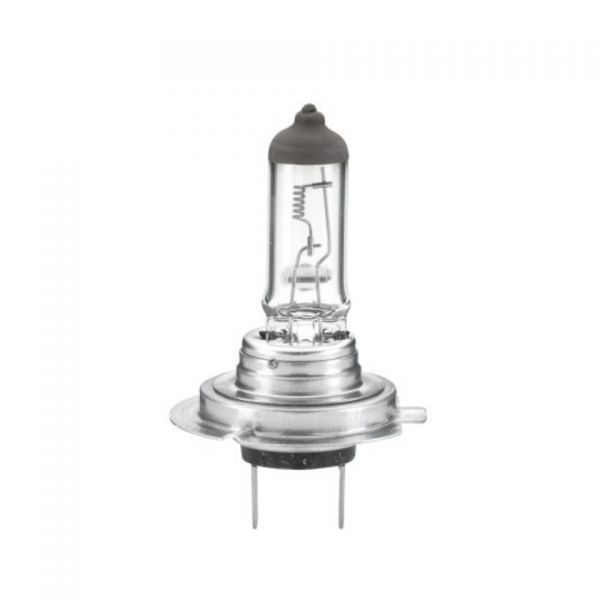 Halogen Headlamp Bulb - H7 24V 70W PX 26 d